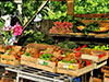 Wochenmarkt